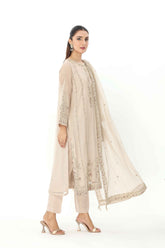 3 Piece Net Embroidered Suit (AP0036)